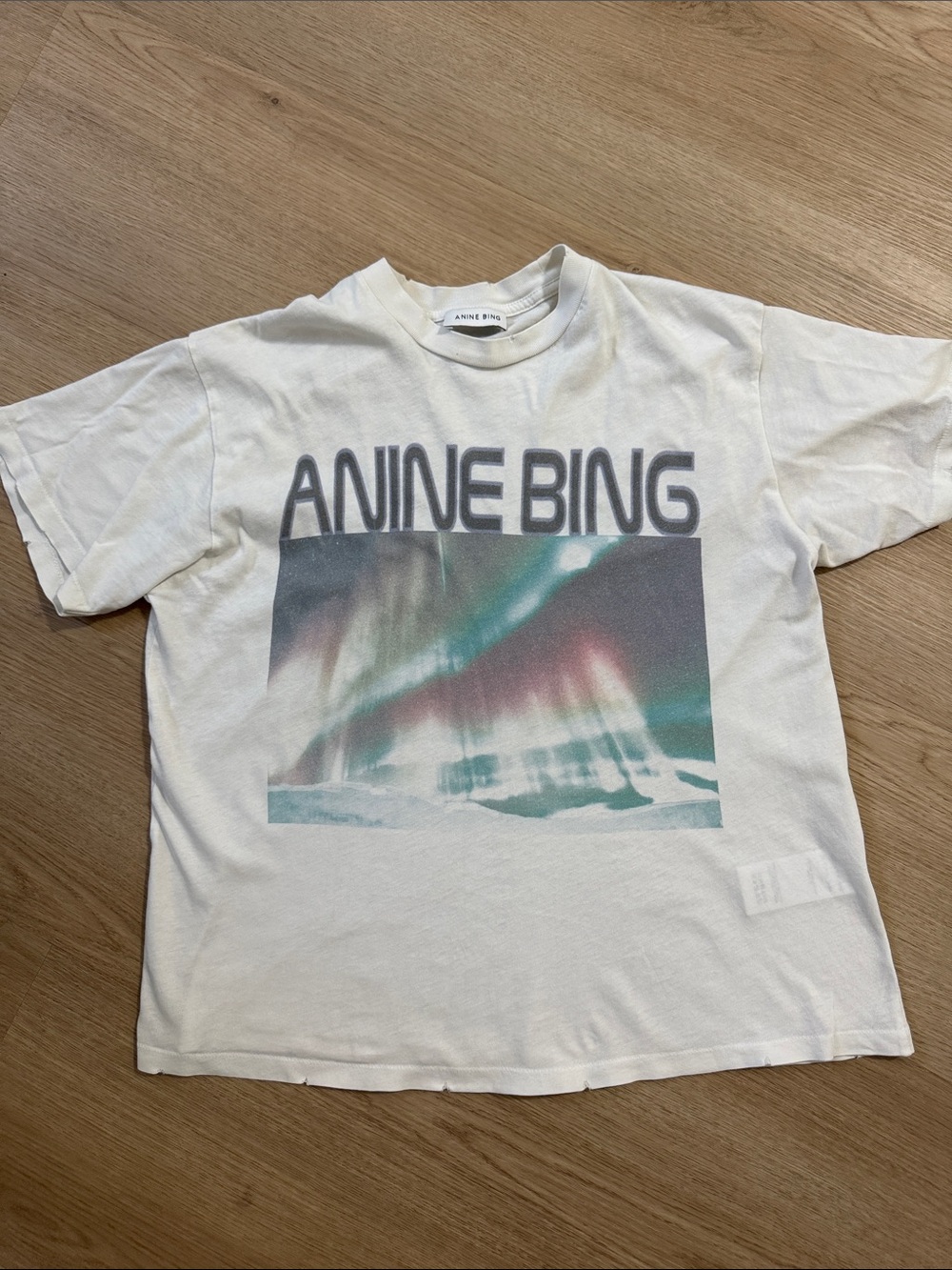 Anine Bing Cade T Shirt